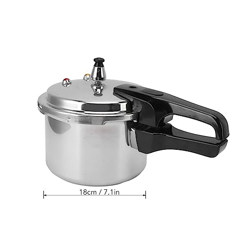 Stainless Steel 3L Mini Pressure Cooker M590933