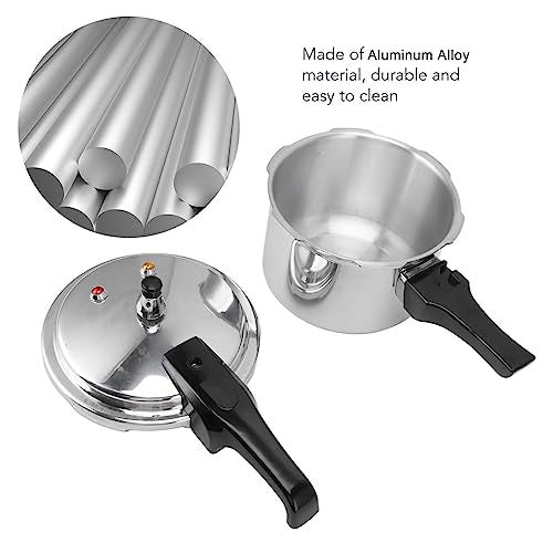 Stainless Steel 3L Mini Pressure Cooker M590933