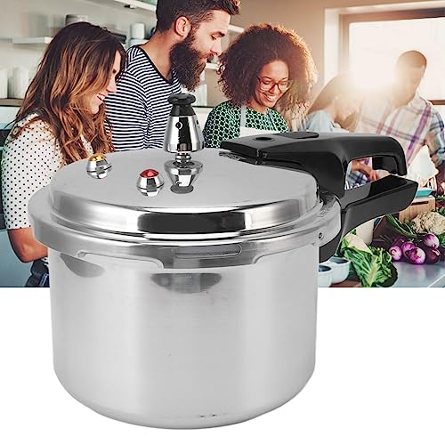 Stainless Steel 3L Mini Pressure Cooker M590933
