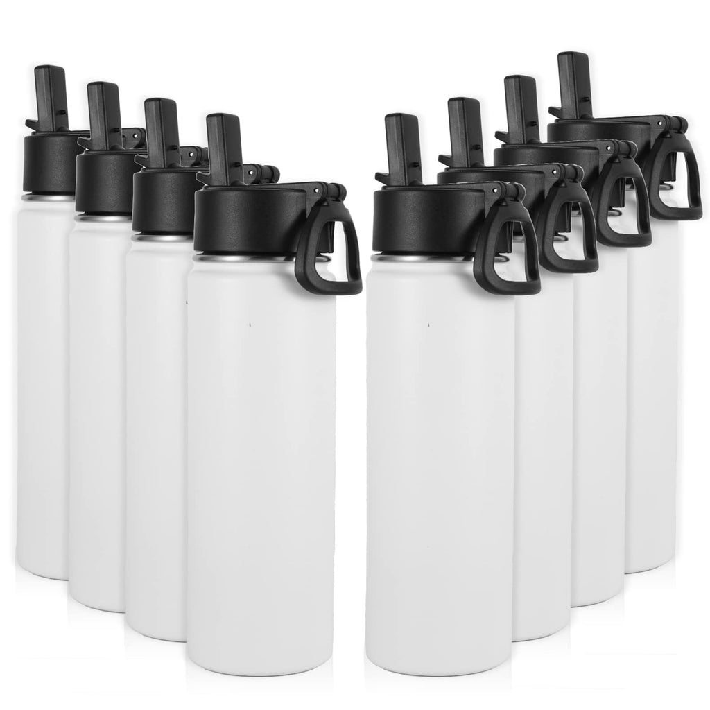 22 oz Stainless Steel Insulated Water Bottles with Straw 8 Pack V366