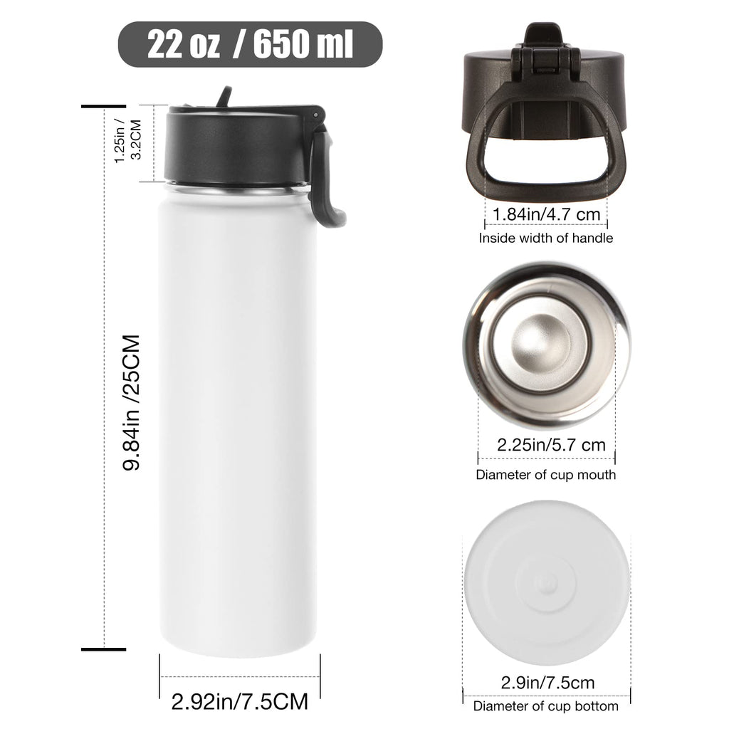 22 oz Stainless Steel Insulated Water Bottles with Straw 8 Pack V366