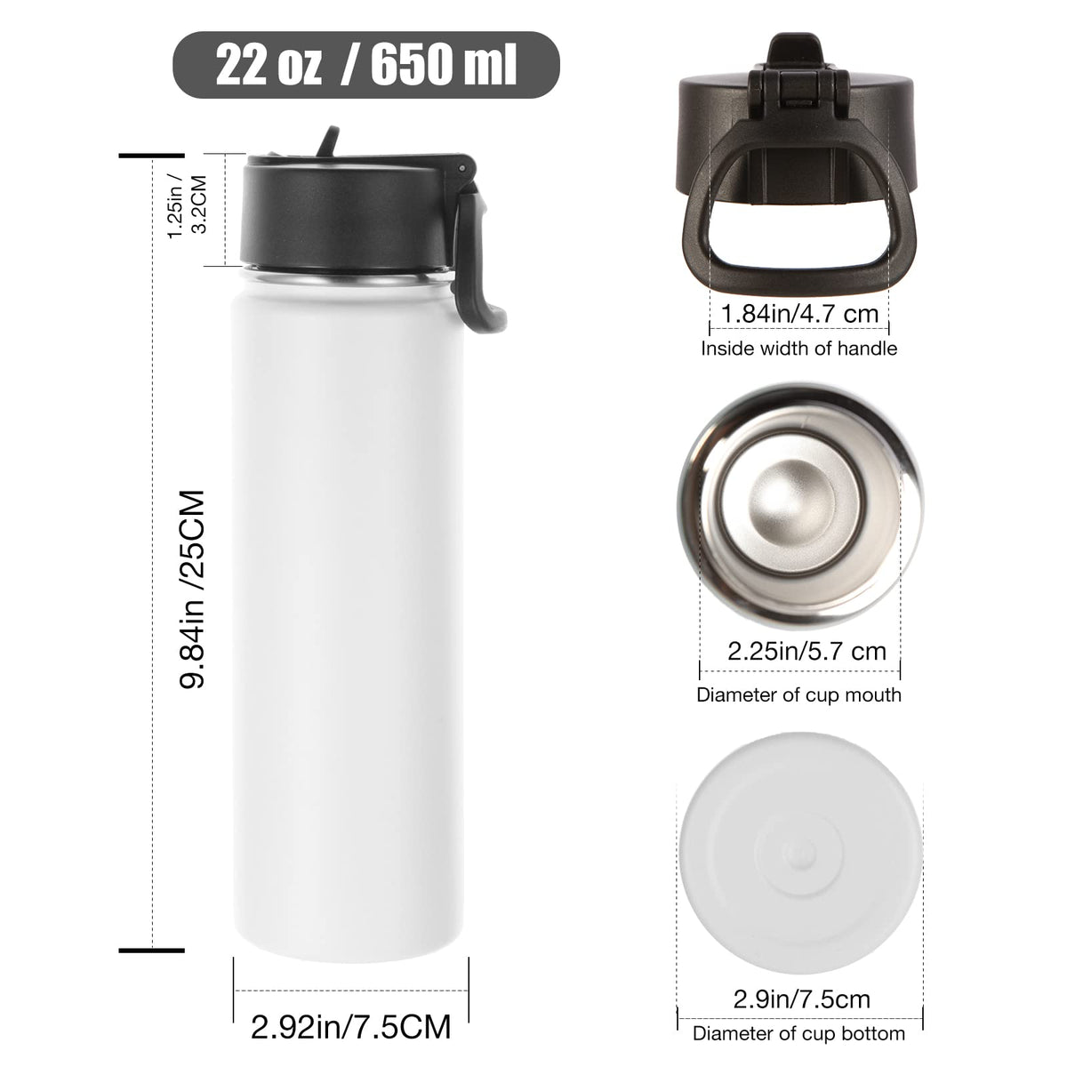 22 oz Stainless Steel Insulated Water Bottles with Straw 8 Pack V366
