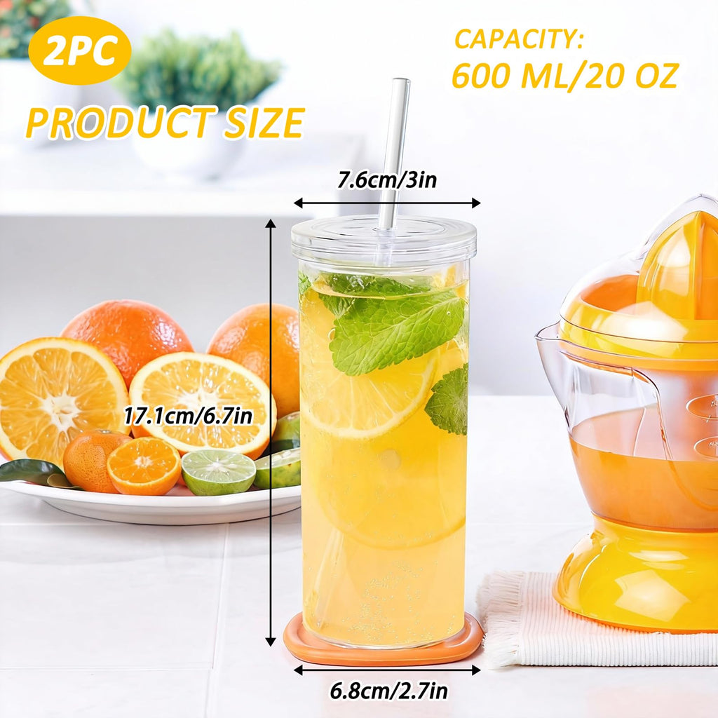 20oz Drinking Jars with Lids and Straws 2 Pack Clear Reusable C71413
