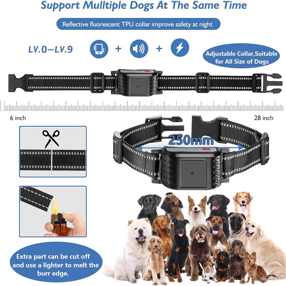 Wireless Dog Fence & Electric Training Collar with Remote F819065