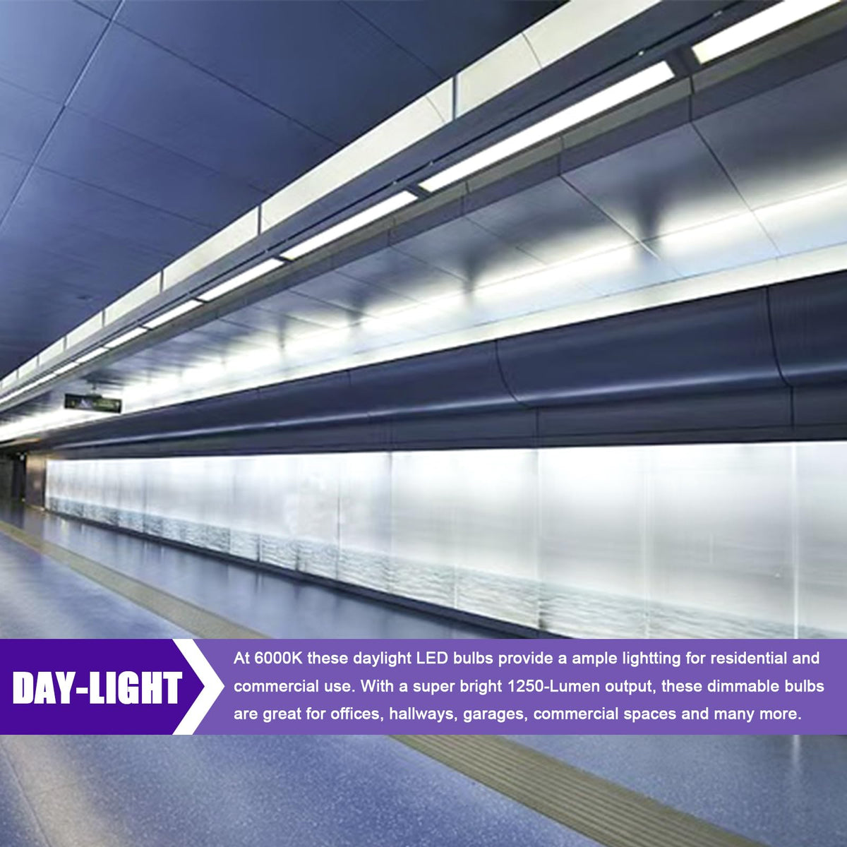 24 Inch 10W LED Tube Light Bulb 6 Pack L323146