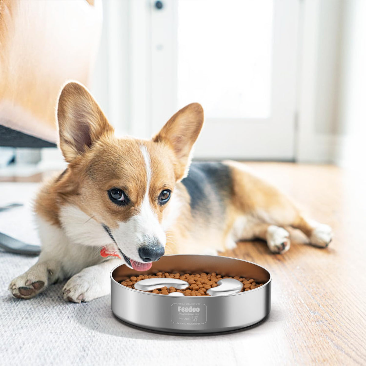 Slow Feeder Dog Bowl 1.5-Cup Stainless Steel I467627