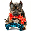 Dog Chew Toy D5887