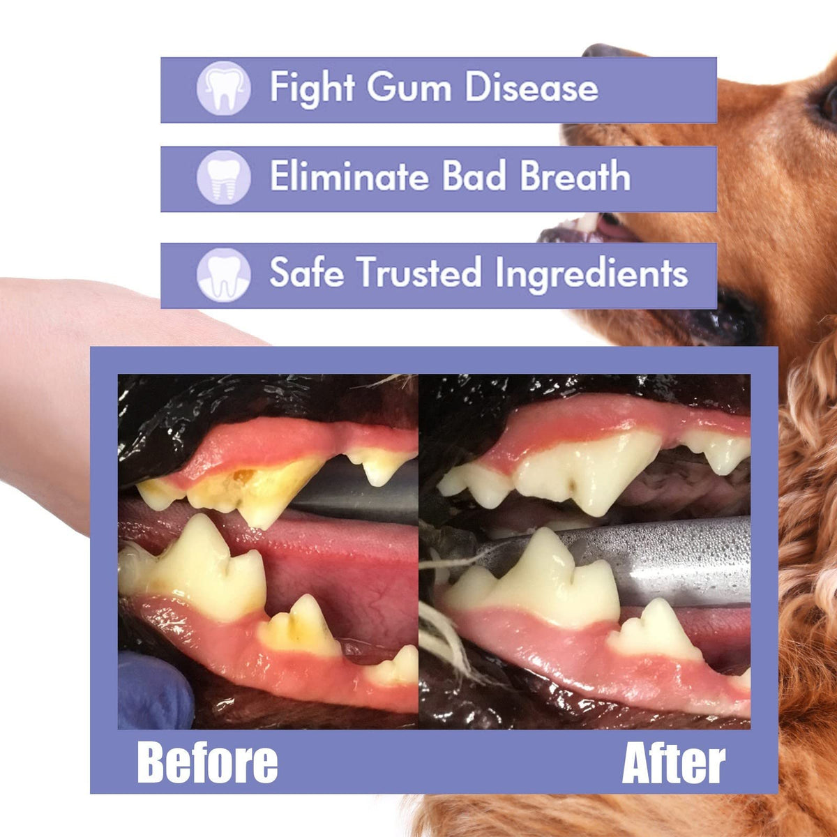 Pet Breath Freshen Spray 60ml Oral Hygiene Solution for Dogs & Cats Q74213