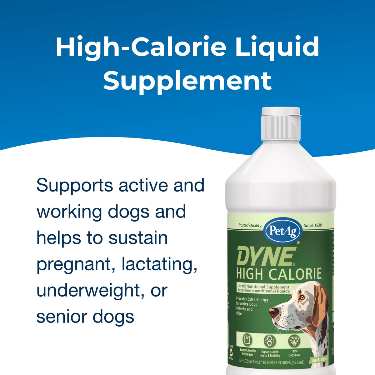 High Calorie Liquid Nutritional Supplement for Dogs & Puppies 16 oz V754738