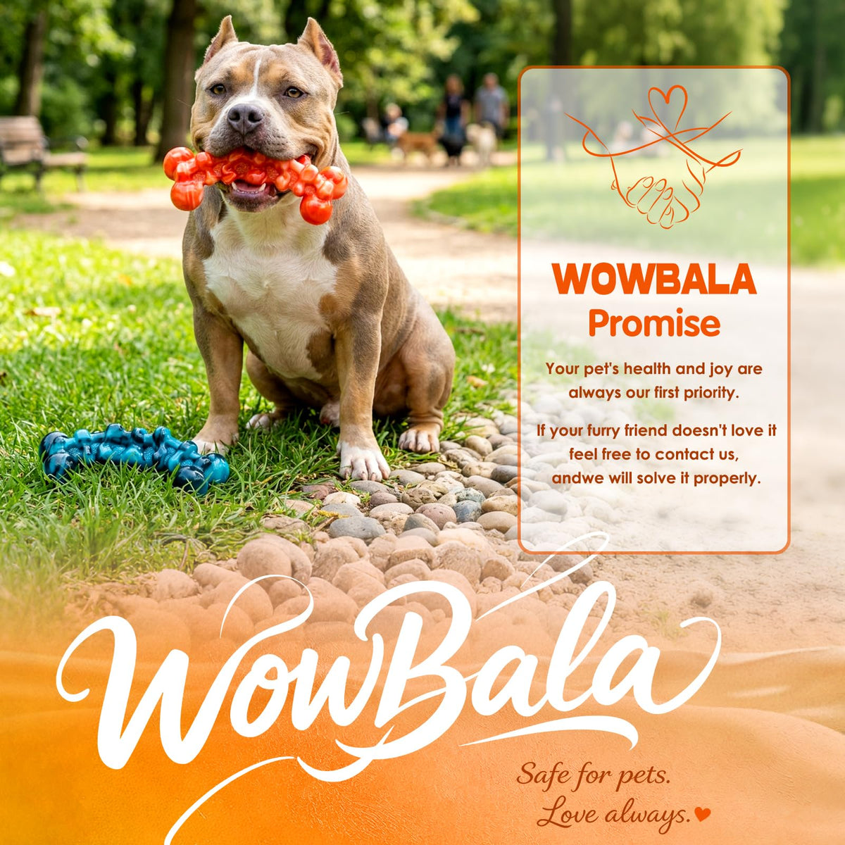 Dog Chew Toy D5887