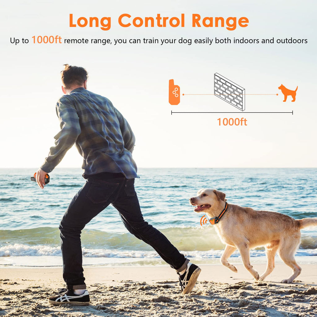 Dog Training Collar with Remote, 3 Modes D644