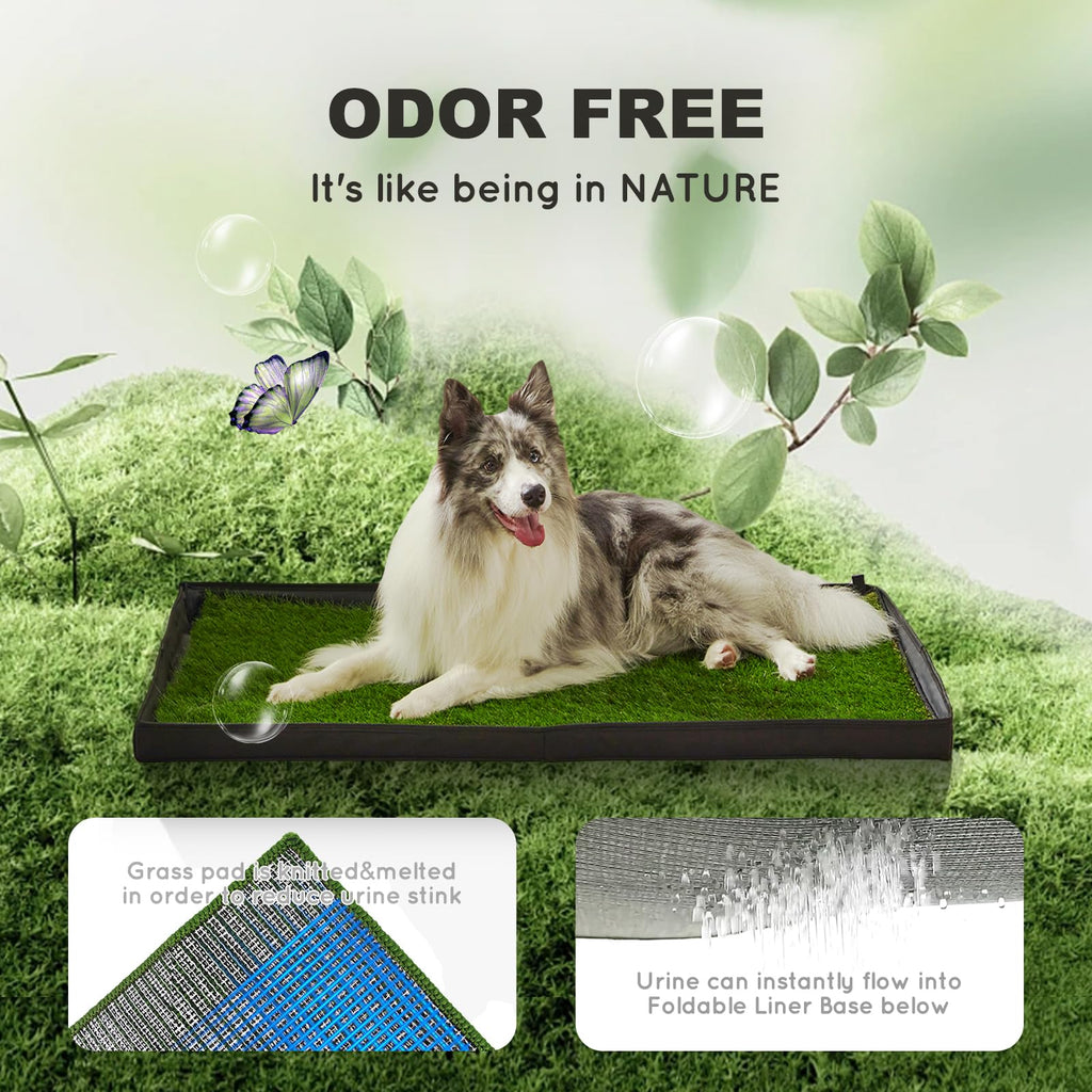 Foldable Dog Litter Box R4062