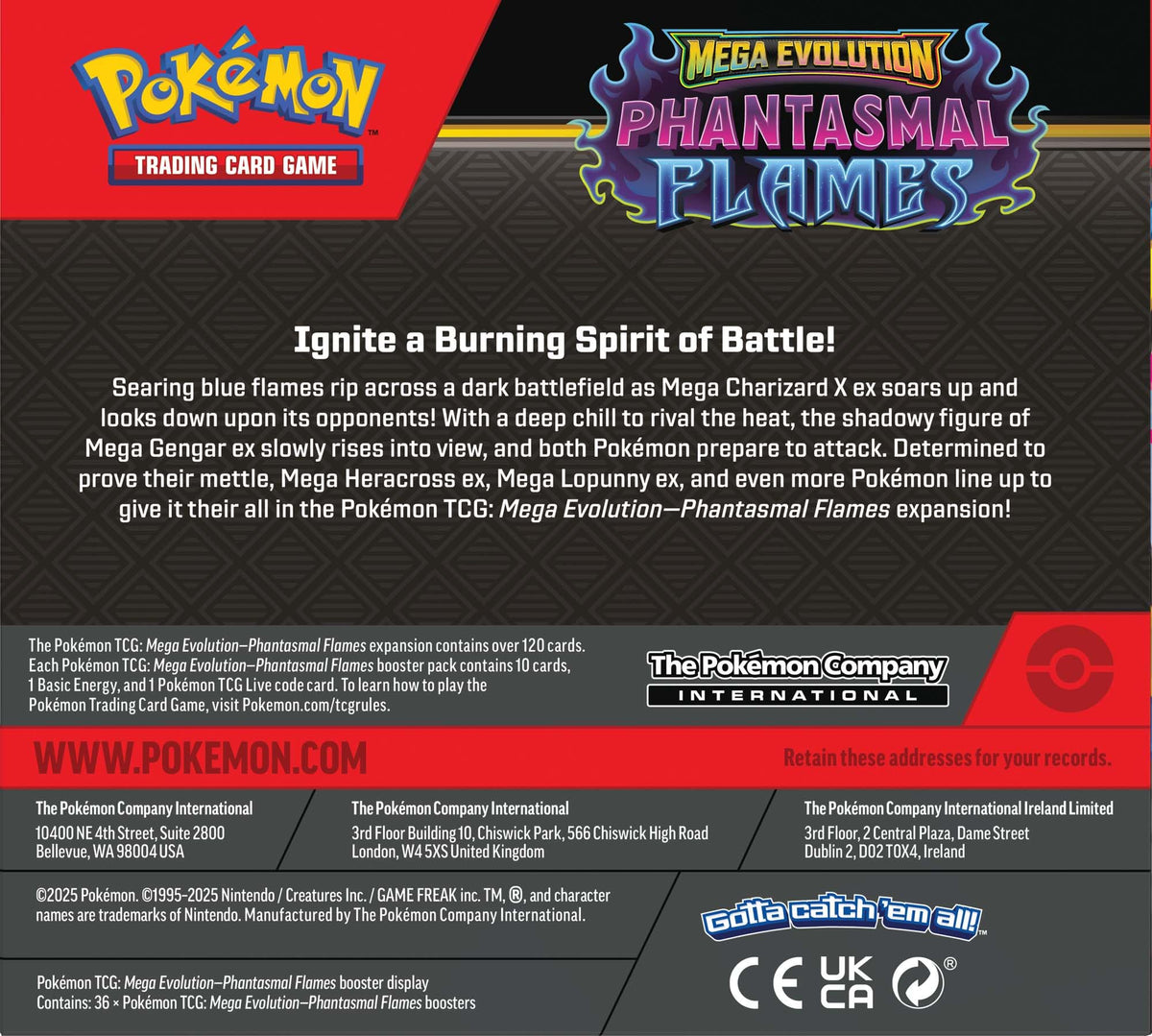 Pokemon TCG Booster Display Box X998811