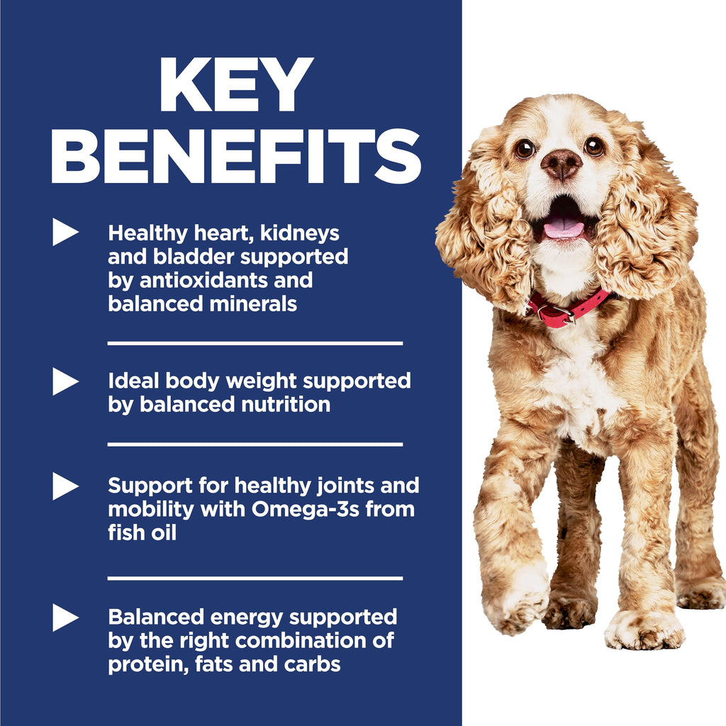 Dry Dog Food U936257