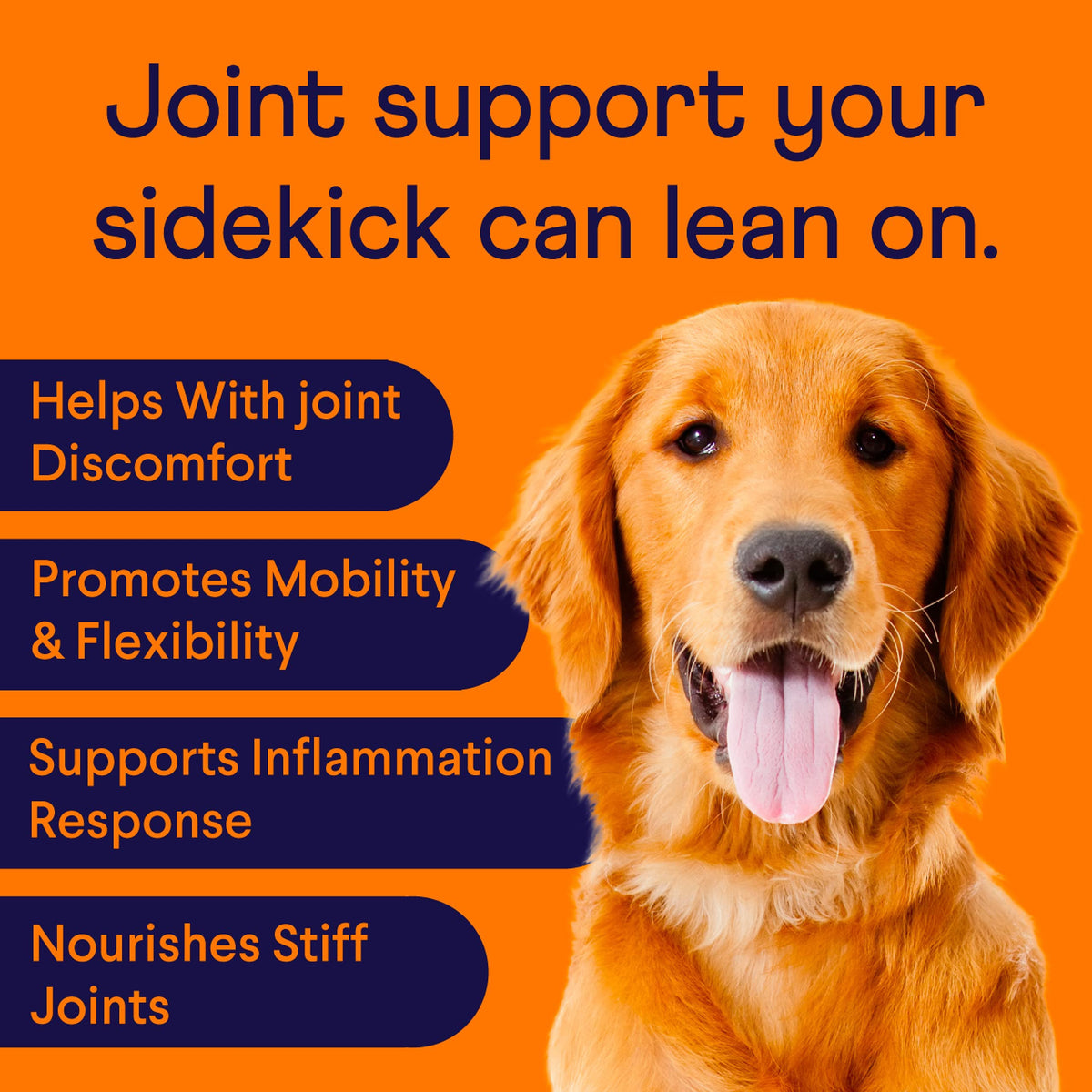Hip & Joint Chews for Dogs, 90 Ct H31171