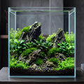 2.58 Gallon Glass Fish Tank A5823